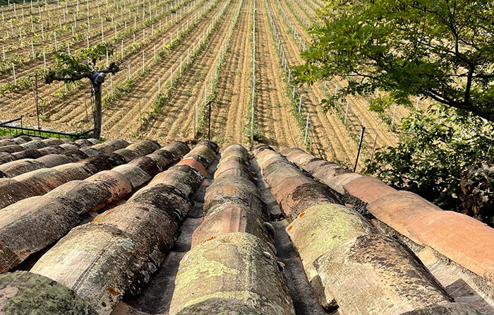 Life Insurance Policy Selection & Design